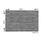 Κεφαλάρι Fuga 160 - Walnut ed16953 - Image 3