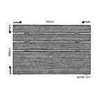 Κεφαλάρι Fuga 180 - Walnut ed16955 - Image 3