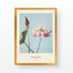 Πίνακας με κορνίζα Lotus 55x75εκ ed17739 - Image 2