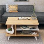 Τραπέζι σαλονιού Skull δρυς μελαμίνη πλαστικά πόδια 80x80x40εκ ed6381